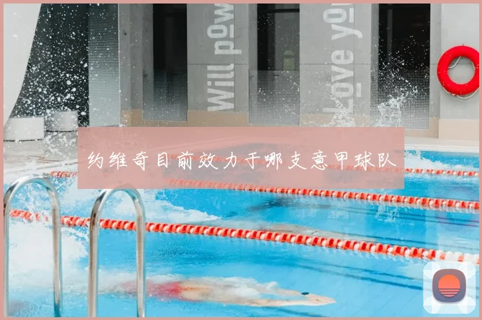 约维奇目前效力于哪支意甲球队