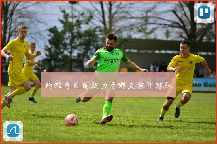 约维奇目前效力于哪支意甲球队