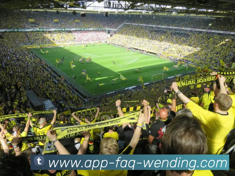 问鼎娱乐app品牌故事