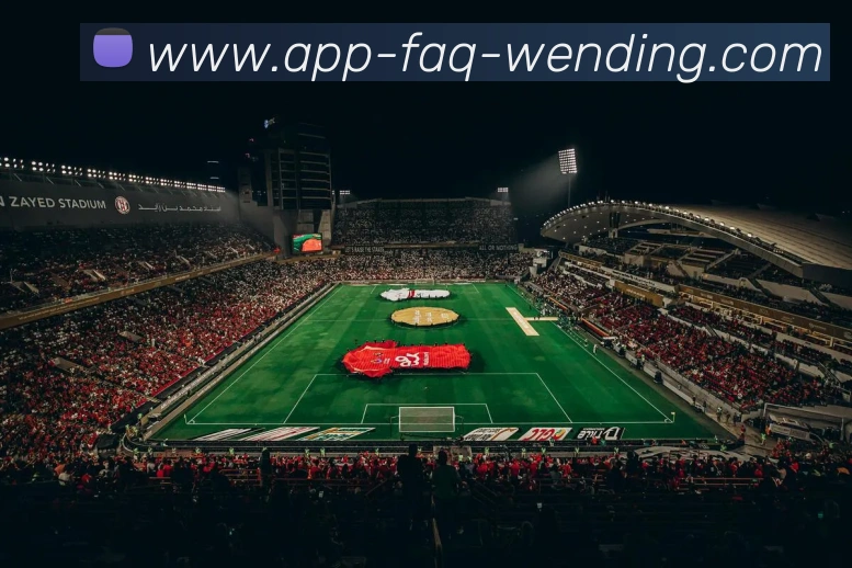 App 示例图